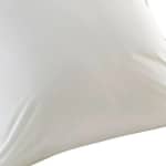 Pillow only (40cm X 40cm)