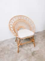 Ambar Rattan Peacock Single Chair