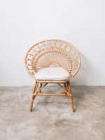 Ambar Rattan Peacock Single Chair