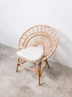 Ambar Rattan Peacock Single Chair