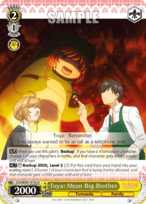 Toya: Mean Big Brother