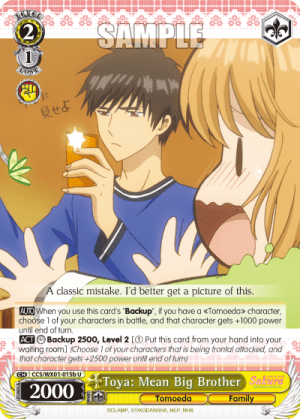 Toya: Mean Big Brother