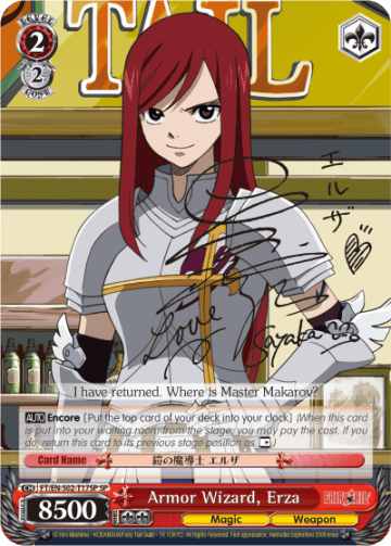 Armor Wizard, Erza