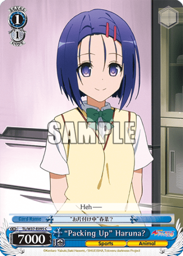 “Packing Up” Haruna? #TL/W37-E095 — To Loveru Darkness 2nd