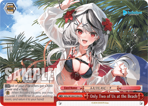 Only Two of Us at the Beach (HOL/W104-E106) — hololive production Vol.2