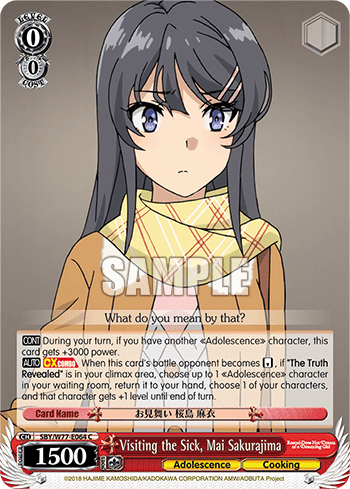 Visiting the Sick, Mai Sakurajima (SBY/W77-E064) — Rascal Does Not Dream of a Dreaming Girl