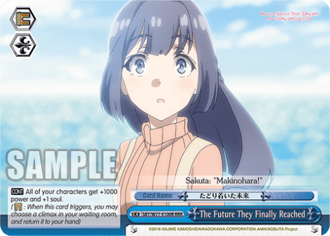 The Future They Finally Reached (SBY/W77-E100R) — Rascal Does Not Dream of a Dreaming Girl