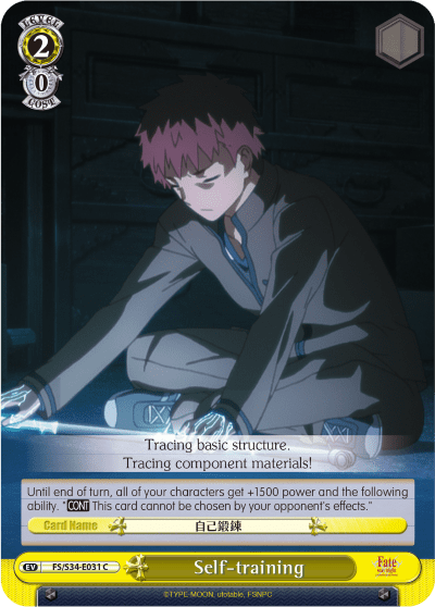 Self-training (FS/S34-E031) — Fate/stay night [Unlimited Blade Works]