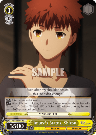 Injury's Status, Shirou (FS/S64-E010) — Fate/stay night [Heaven’s Feel]
