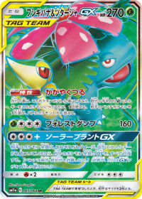 Venusaur & Snivy-GX (PSA 10)