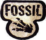 Fossil cover