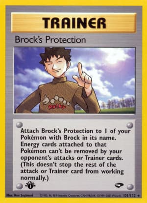 Brock's Protection (First Edition)
