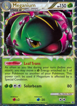 Meganium (Holofoil)