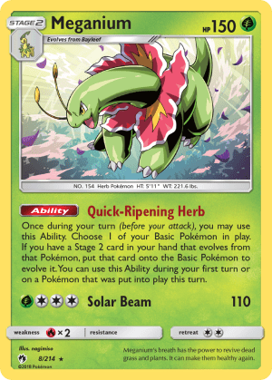 Meganium (Holofoil)