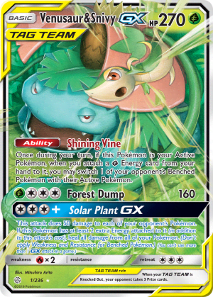 Venusaur & Snivy-GX (Holofoil)