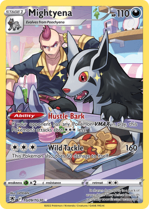 Mightyena (Holofoil)