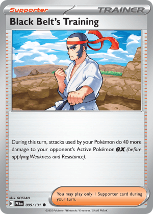 Black Belt's Training (Reverse Holofoil)