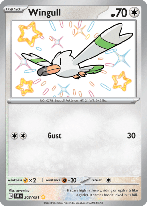 Wingull (Holofoil)