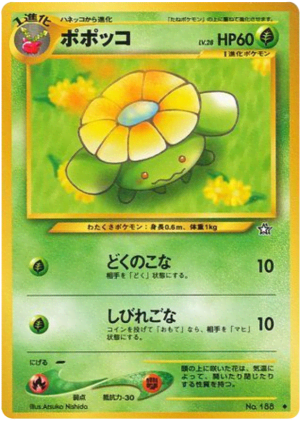 Skiploom