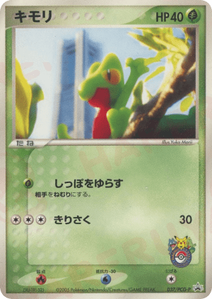 Treecko (Holofoil)