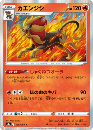 Pyroar (Holofoil)