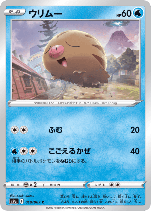 Swinub