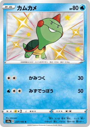 Chewtle (Holofoil)