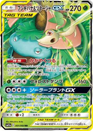 Venusaur & Snivy-GX (Holofoil)