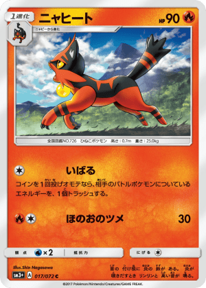 Torracat