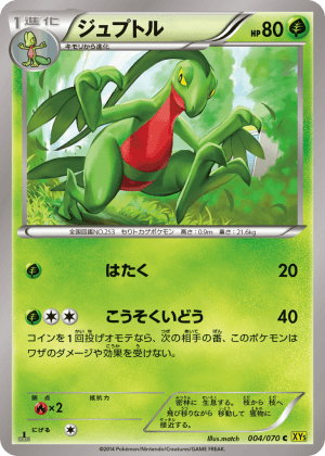 Grovyle (Unlimited)