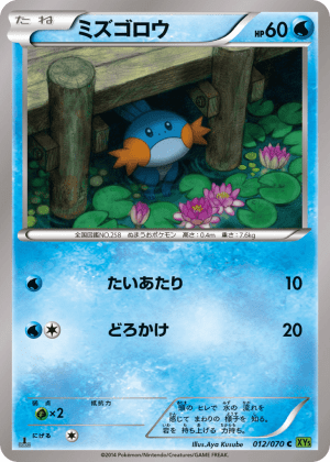 Mudkip (First Edition)