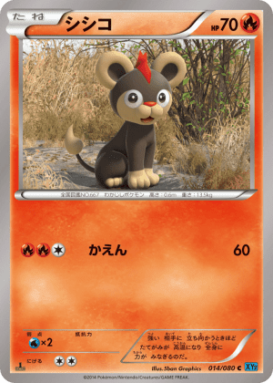 Litleo (First Edition)
