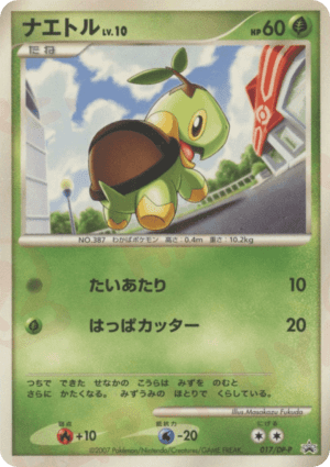 Turtwig