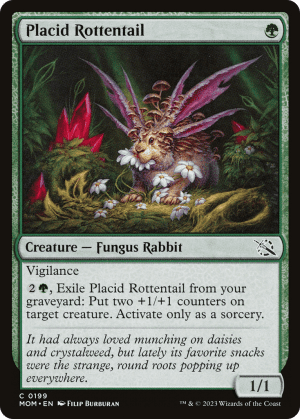 Placid Rottentail