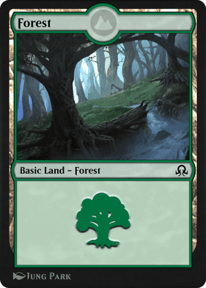 Forest