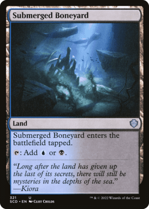 Submerged Boneyard