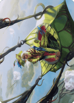 Nael, Avizoa Aeronaut