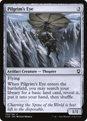 Pilgrim's Eye