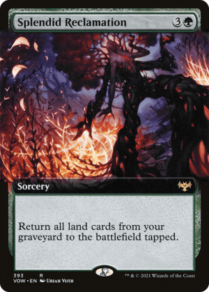 Splendid Reclamation