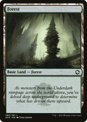 Forest