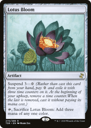 Lotus Bloom