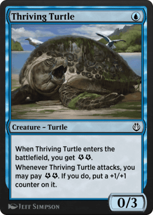 Thriving Turtle
