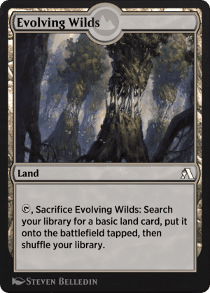 Evolving Wilds