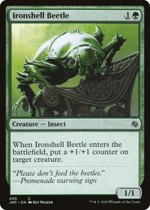 Ironshell Beetle