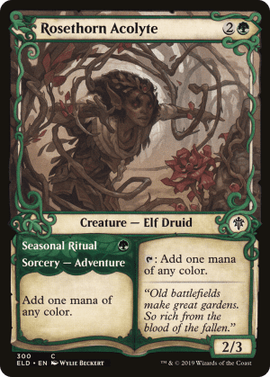 Rosethorn Acolyte // Seasonal Ritual