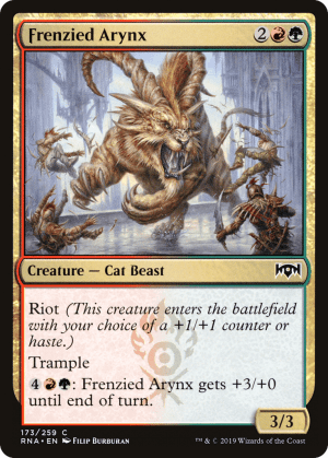 Frenzied Arynx