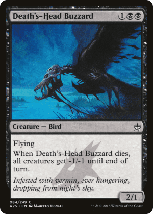 Death's-Head Buzzard