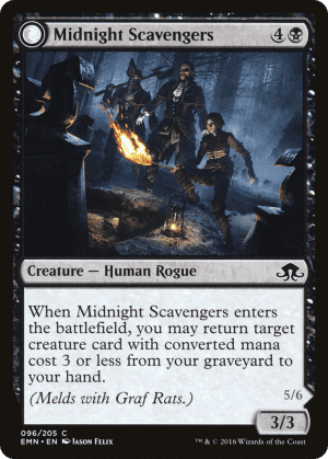 Midnight Scavengers // Chittering Host