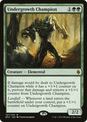 Undergrowth Champion