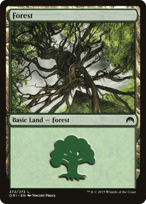 Forest